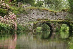 The Original Ninfa's on Navigation﻿