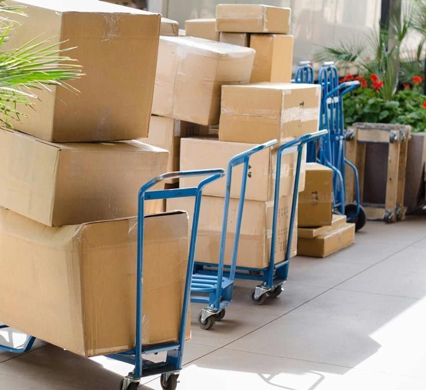 Transportation and Logistics Services